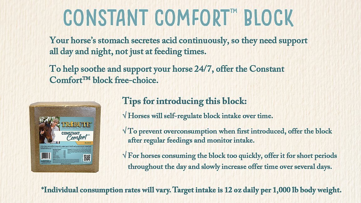 Tribute Equine Nutrition Constant Comfort Gastric Health Horse Supplement， 15-lbs block