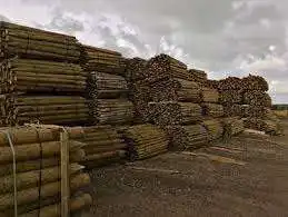 Wooden Stakes Wood Pole application Lodge Pole Garden and Farm