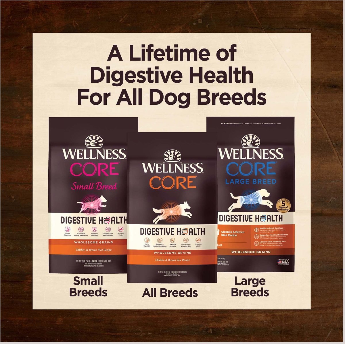 Wellness CORE Digestive Health Chicken and Brown Rice Dry Dog Food， 24-lb bag