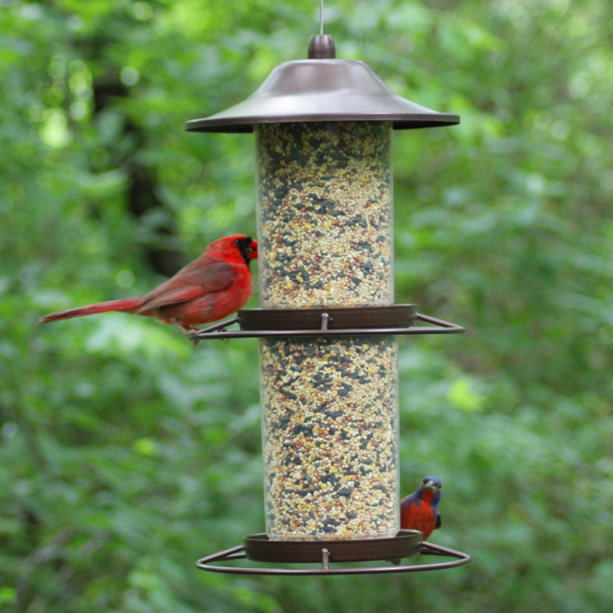 Perky-Pet Panorama Wild Bird Feeder