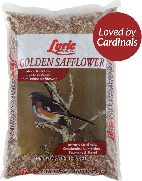 Lyric Golden Safflower Seed Wild Bird Food