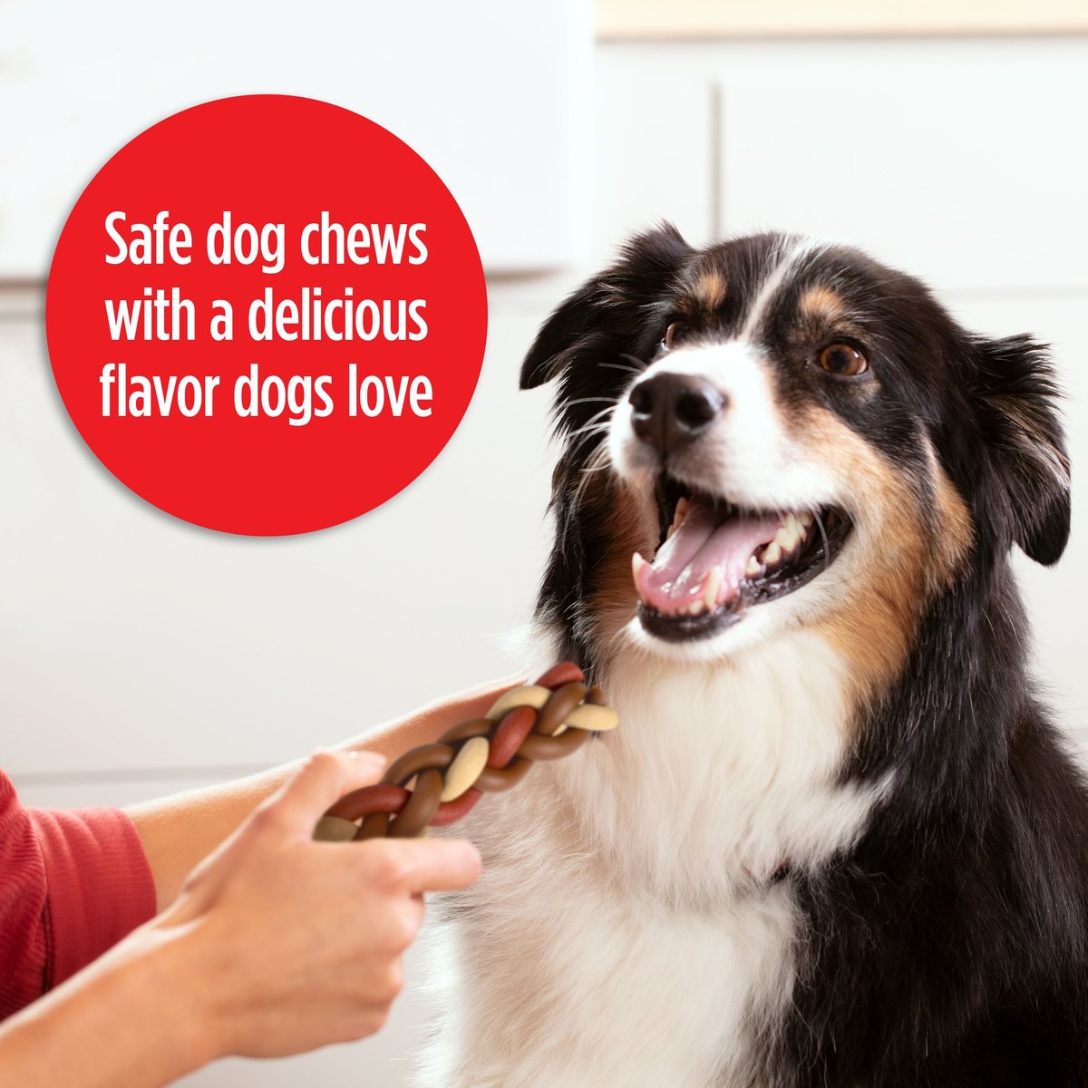 Milk-Bone Flavor Braids Chews Steaky Steaky Eggs and Bac'y Dog Treats