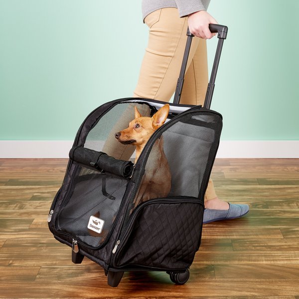 Snoozer Pet Products Roll Around 4-in-1 Travel Dog and Cat Carrier Backpack