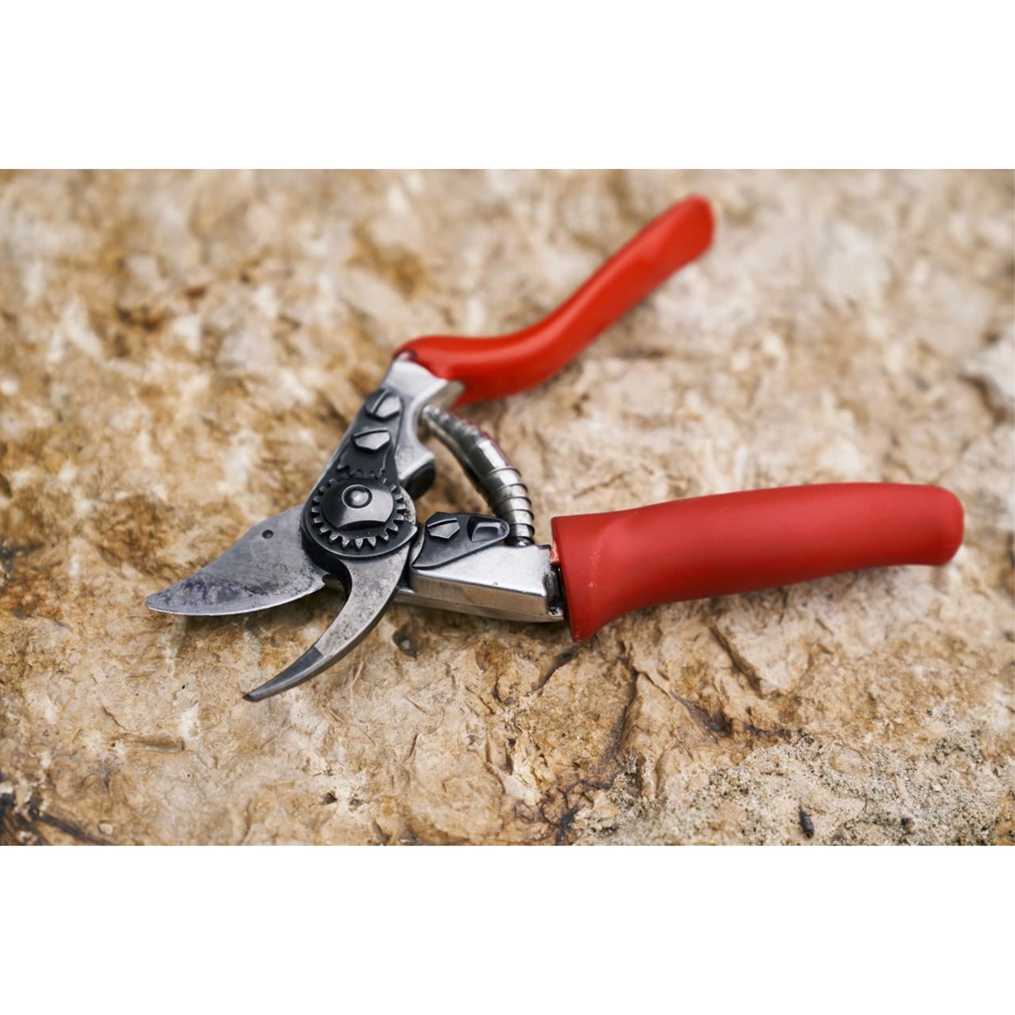 Felco Small Hand Bypass Pruning Shear with Rotating Handle