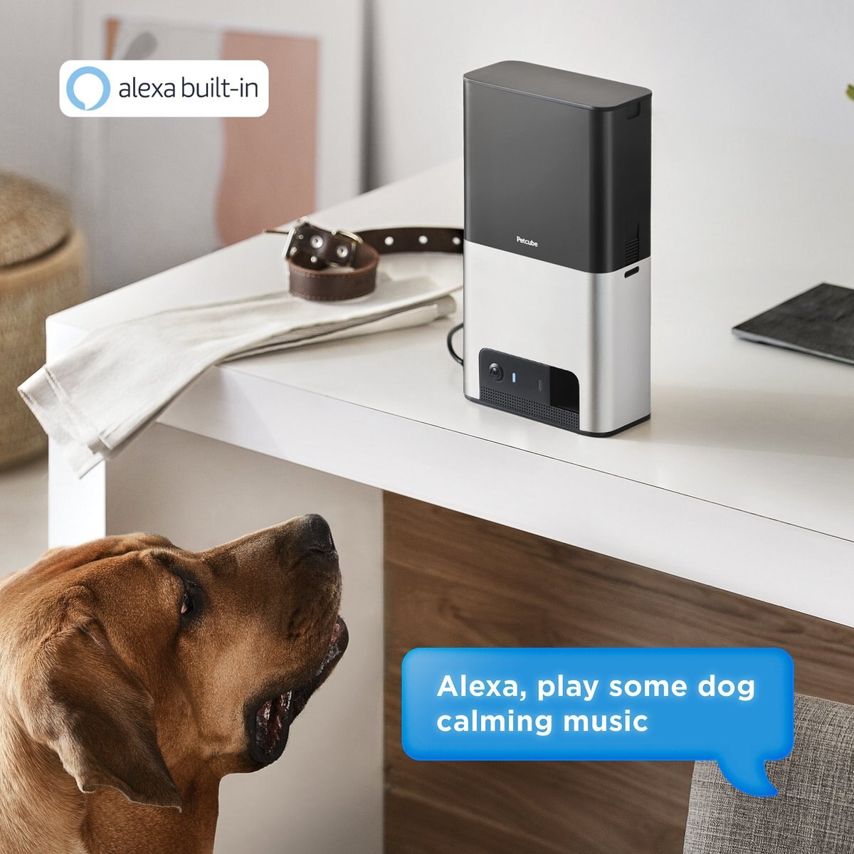 Petcube Bites 2 Wi-Fi Pet Camera and Treat Dispenser