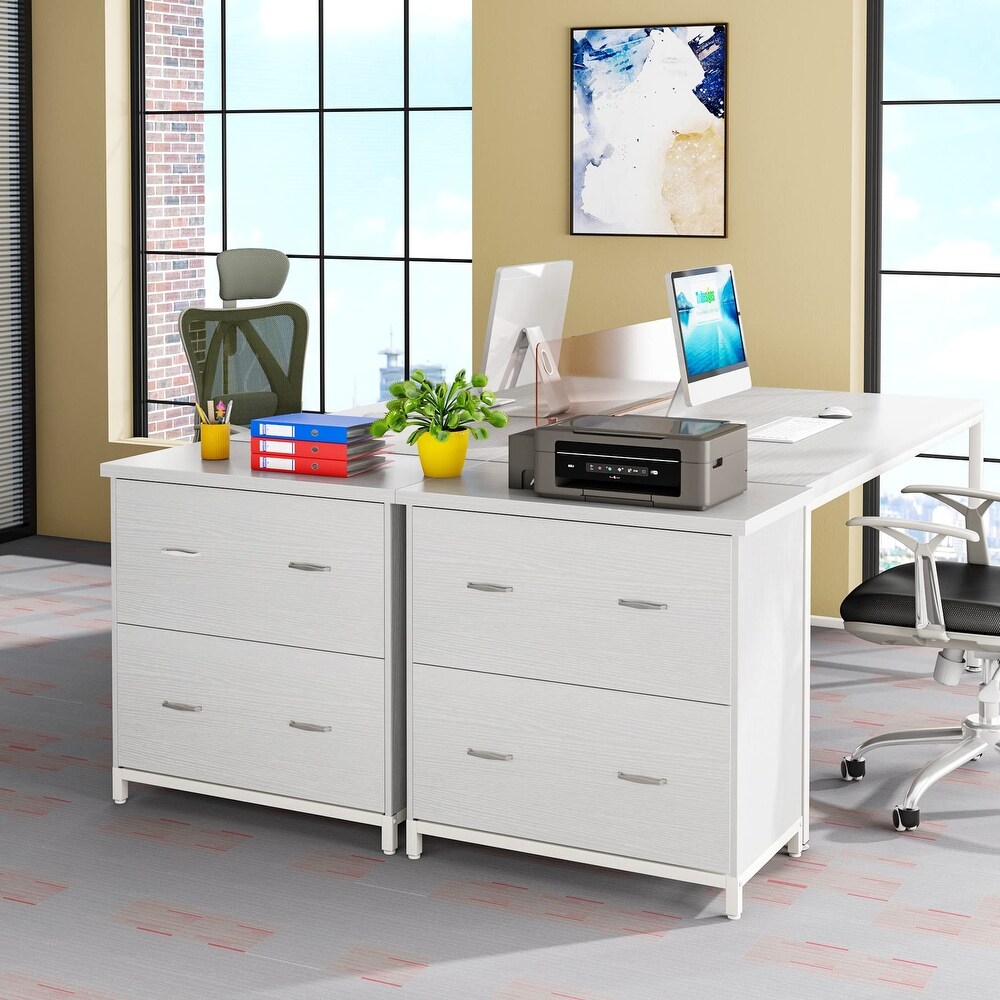 2 Drawer File Cabinet for Home Office  Letter Size