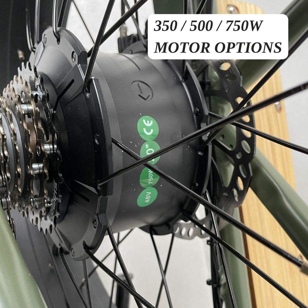 Rear wheel 48V 750W e cargo bike bicicletas de ruta bicicleta eletrica de carretera cargo ebike electric cycles for men