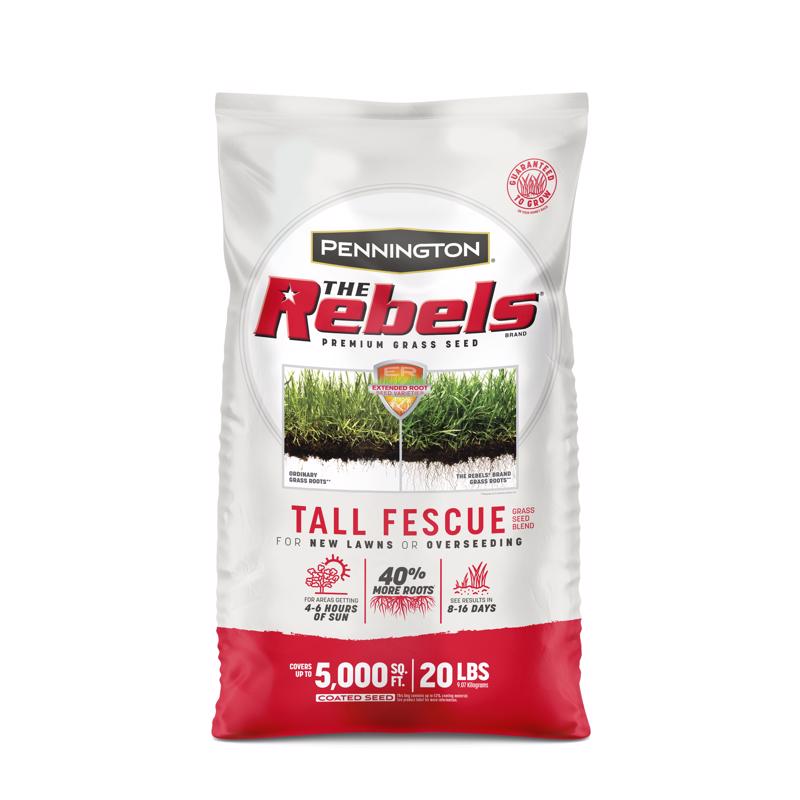 REBEL TALL FESCUE 20 LB