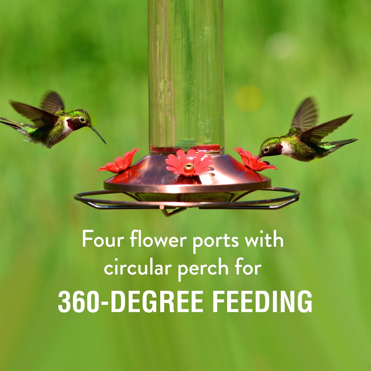 Perky-Pet Elegant Copper Glass Hummingbird Feeder