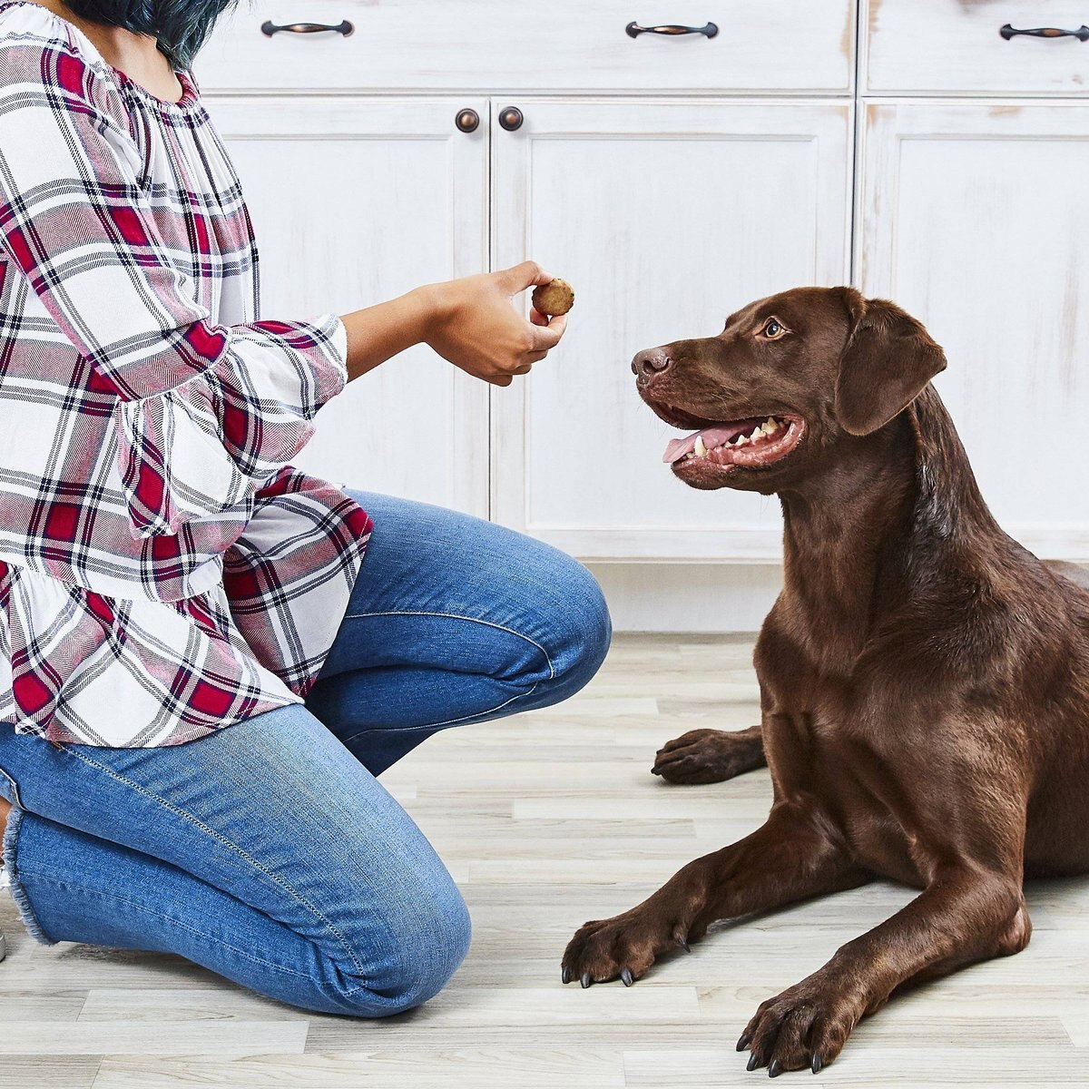 American Journey Beef Recipe Grain-Free Soft-Baked Dog Treats