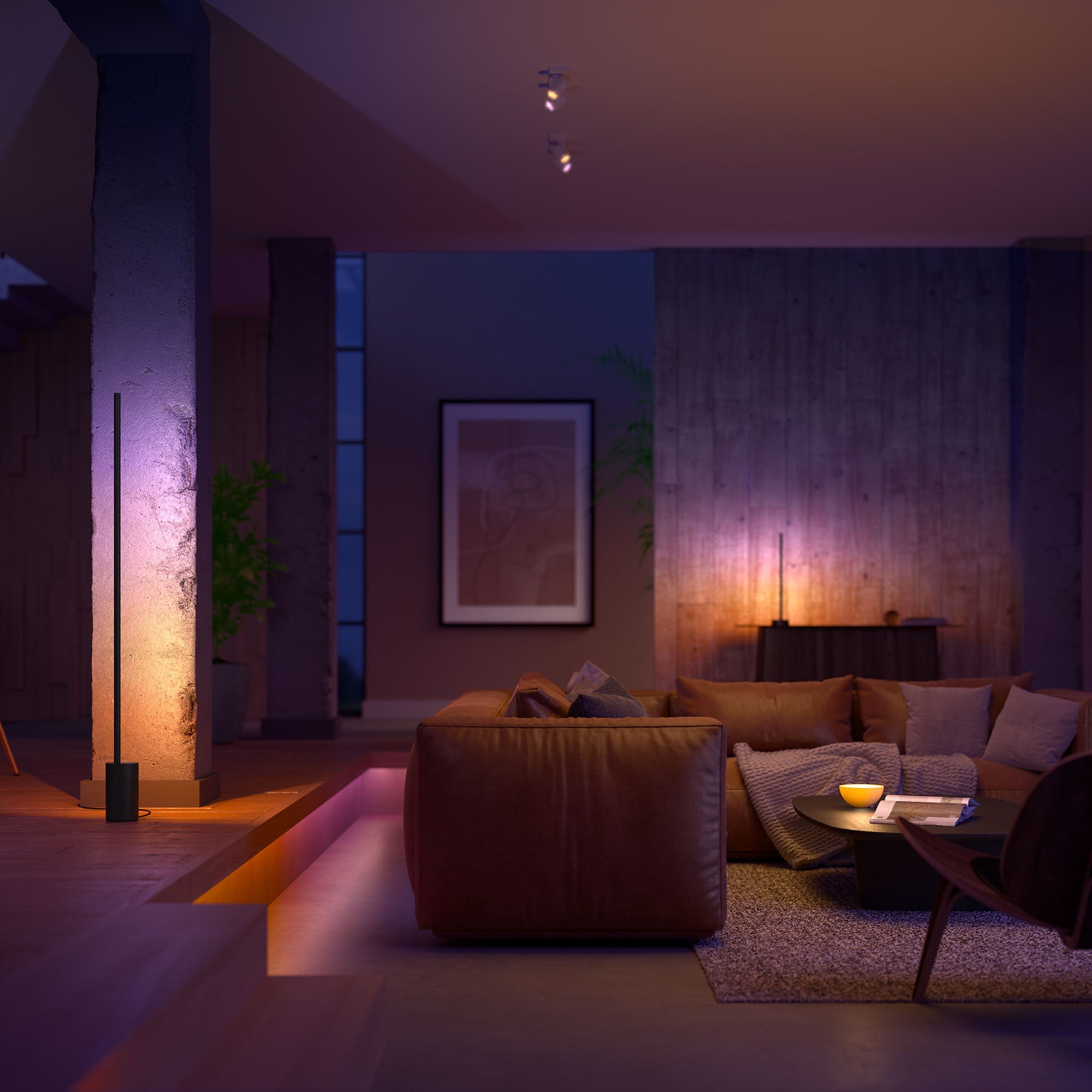 Philips Hue Gradient Signe Floor Lamp in Black Color