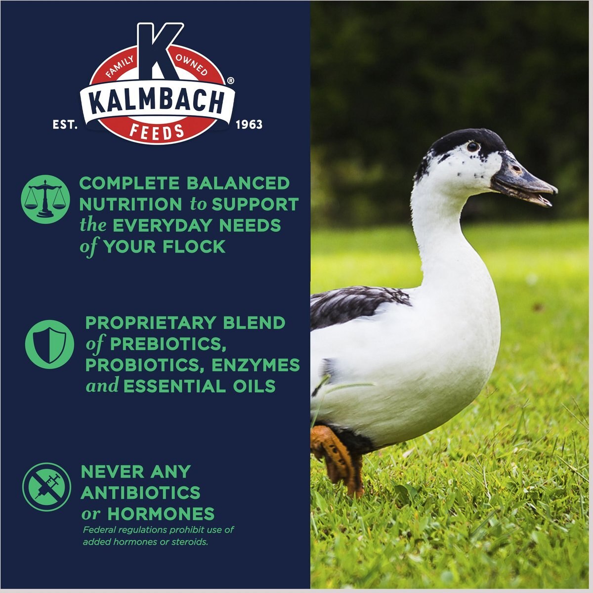 Kalmbach Feeds All Natural 16% Flock Maintainer Poultry Feed