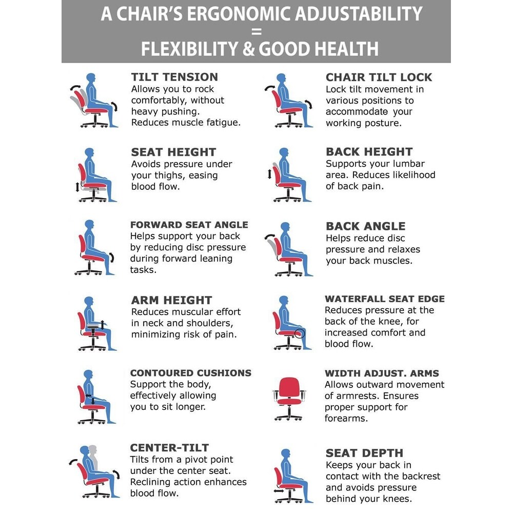 Malaga Low Back Ergonomics Chair