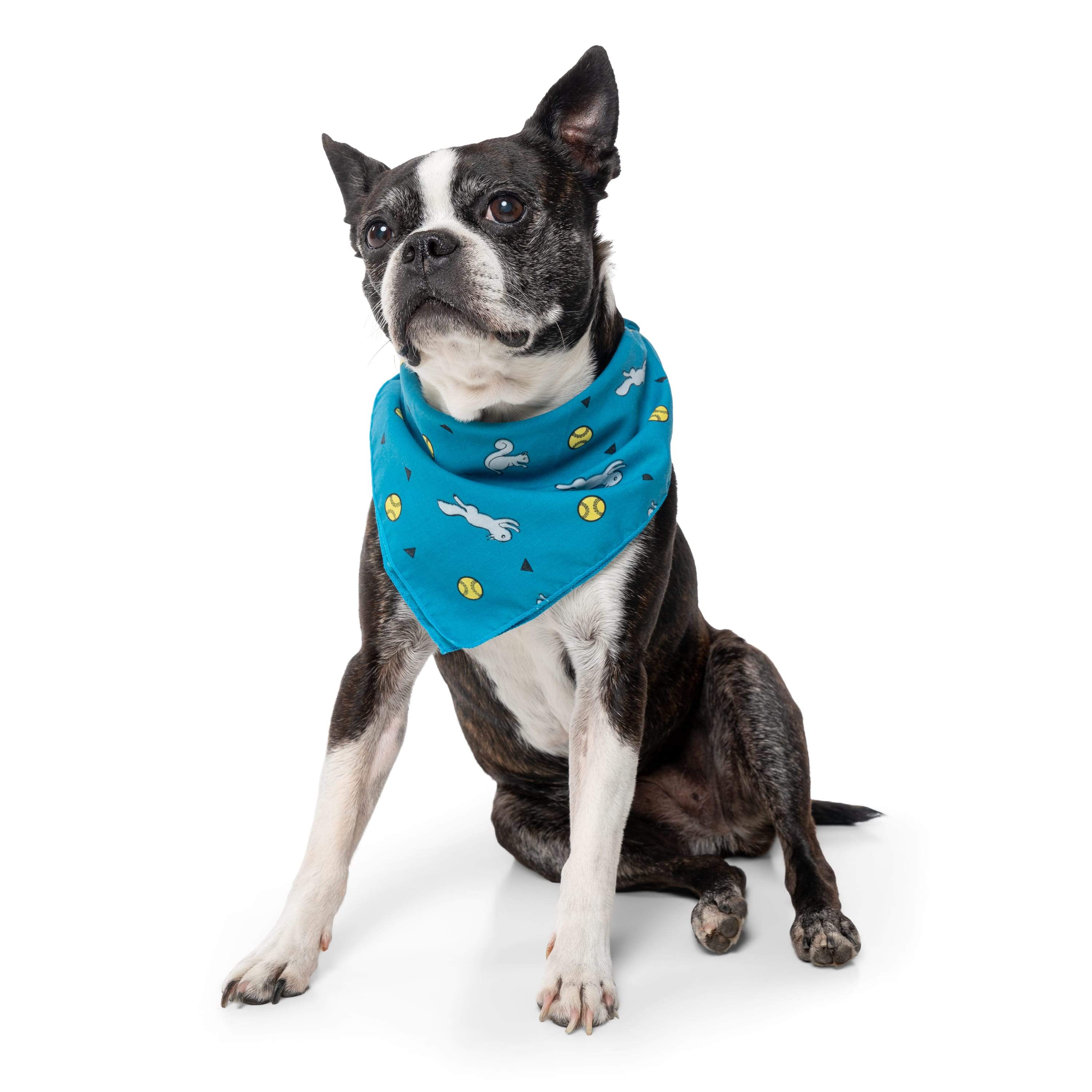 Insect Shield for Pets Ball and Squirrel Bandana， Teal， One Size