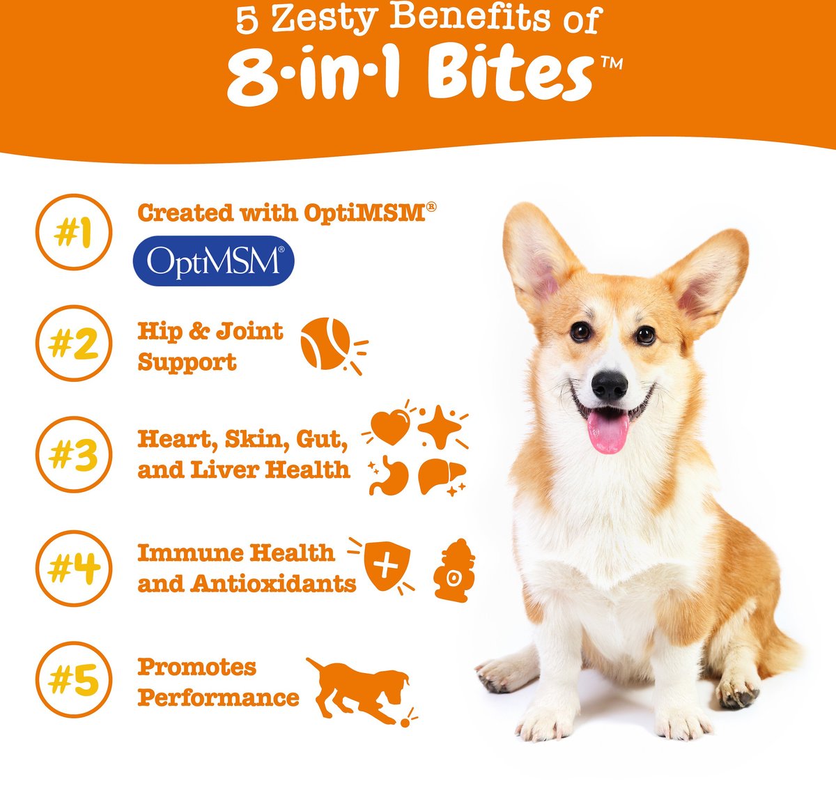 Zesty Paws Multivitamin 8-in-1 Bites Chicken Flavored Soft Chews Supplement for Dogs