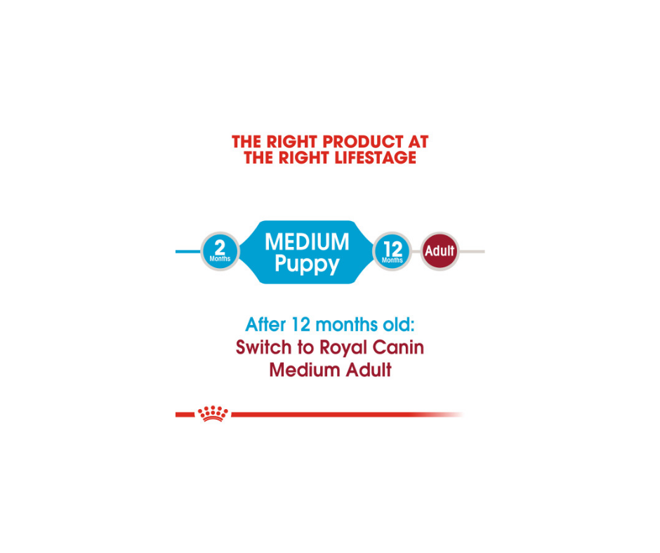 Royal Canin - Medium Breed， Puppy Dry Dog Food