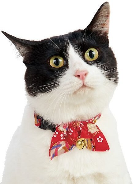 Necoichi Oribon Kimono Bow Tie Cotton Breakaway Cat Collar with Bell