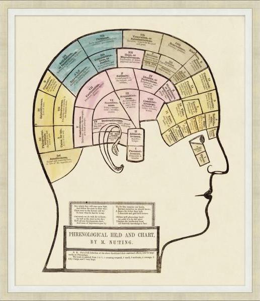 brain chart