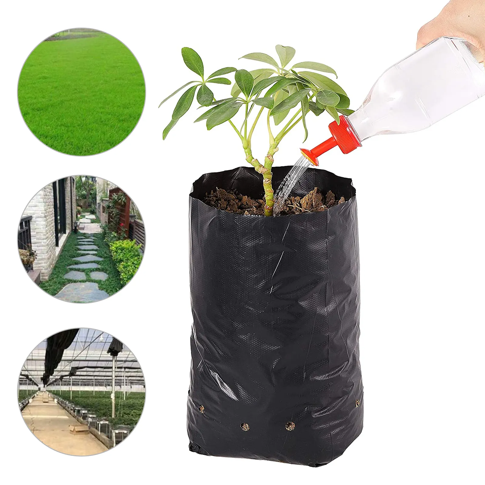 100Pcs Thicken PE Seedling Bag Fruit Tree Seeds Seedling Cup Bonsai Planting Growing Nursery Bags Greenhouse For Garden Supplies