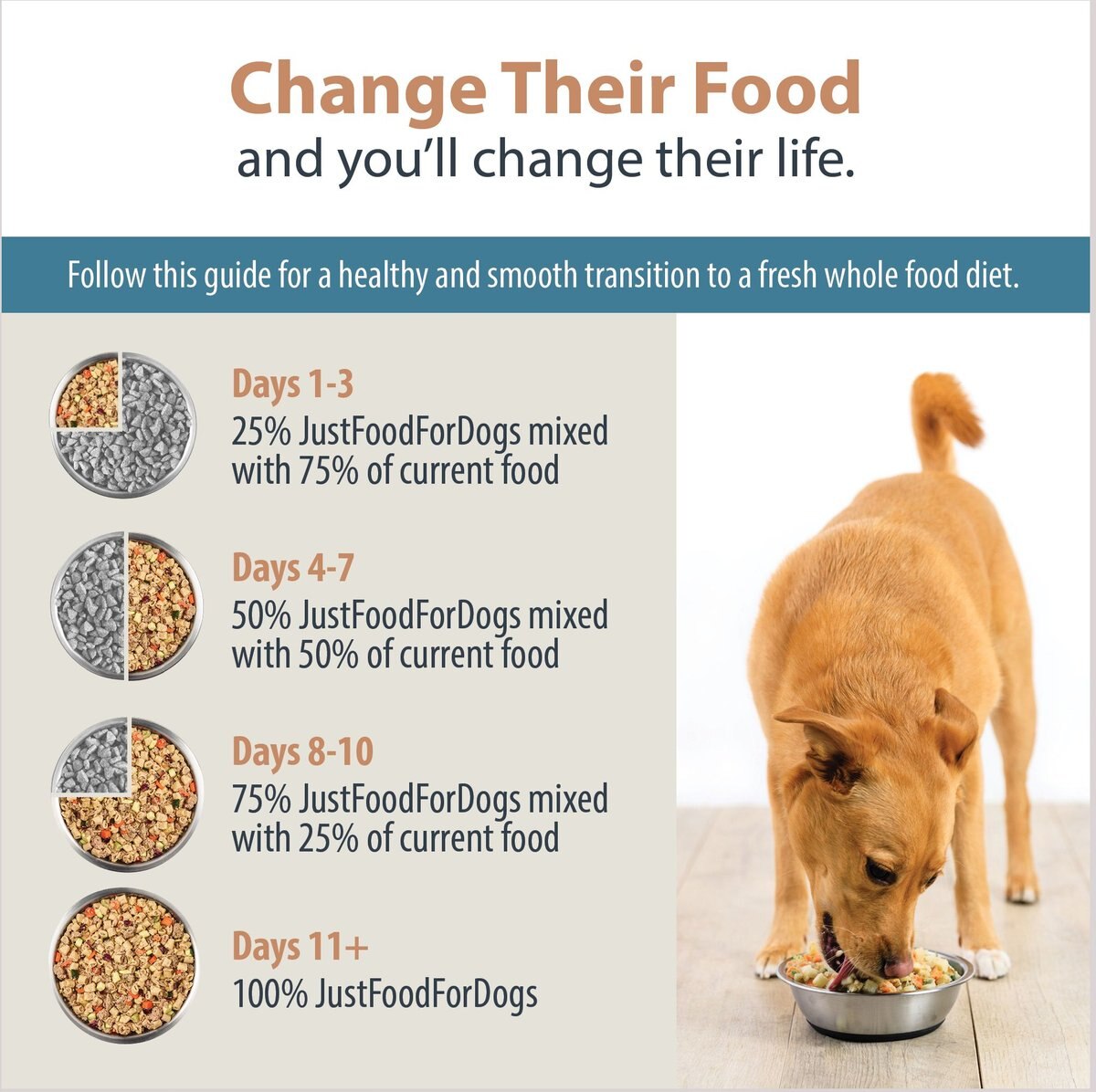 JustFoodForDogs PantryFresh Turkey and Whole Wheat Macaroni Fresh Dog Food