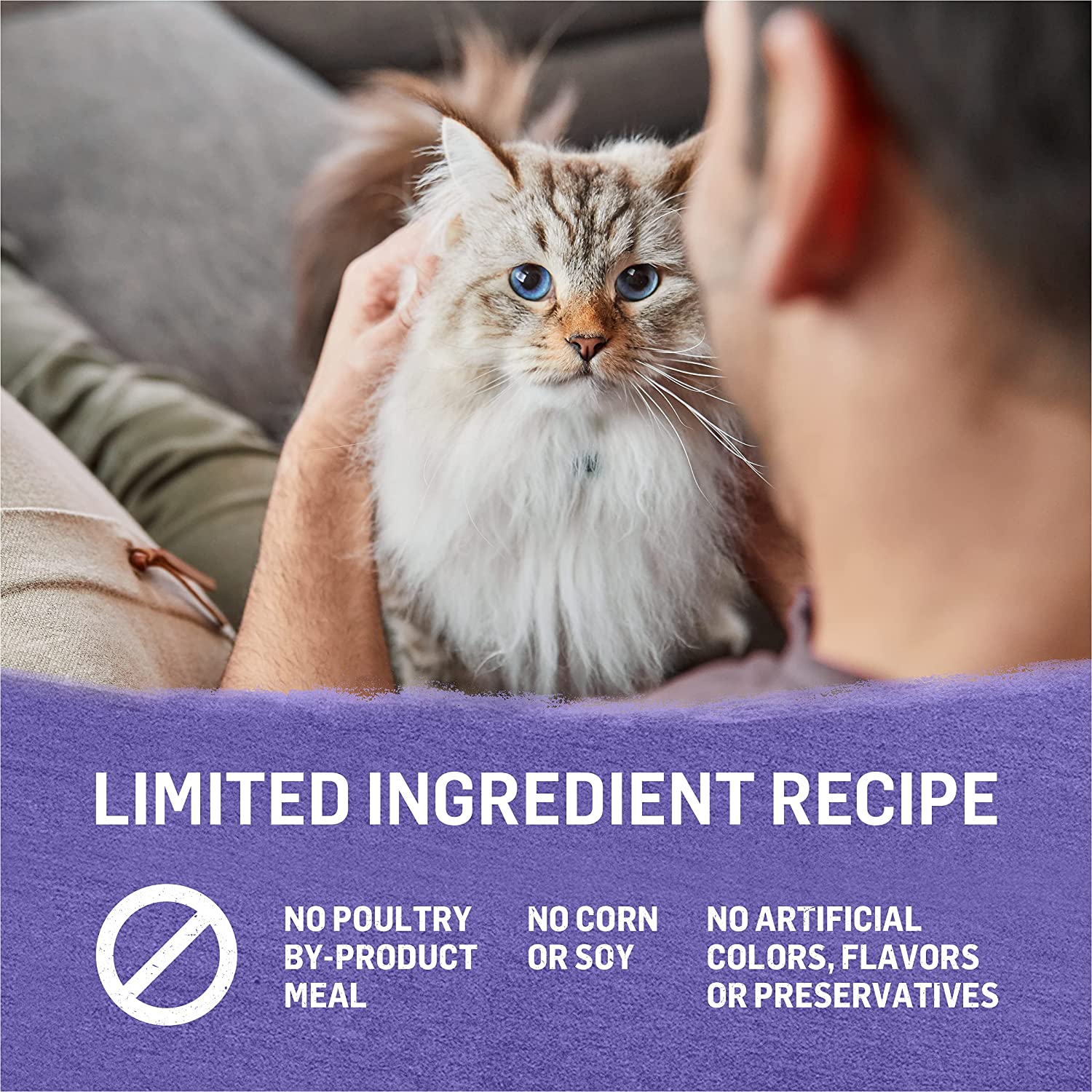 Purina Beyond Grain Free， Natural， Adult Wet Cat Food， Turkey and Sweet Potato in Gravy