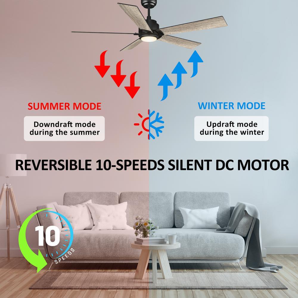 CARRO Aspen 56 in Dimmable LED IndoorOutdoor Black Smart Ceiling Fan with Light and Remote Works with AlexaGoogle Home