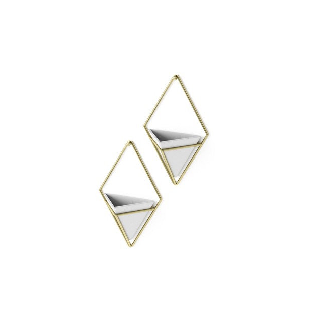 Set Of 2 Trigg Wall Display Planters White brass Umbra