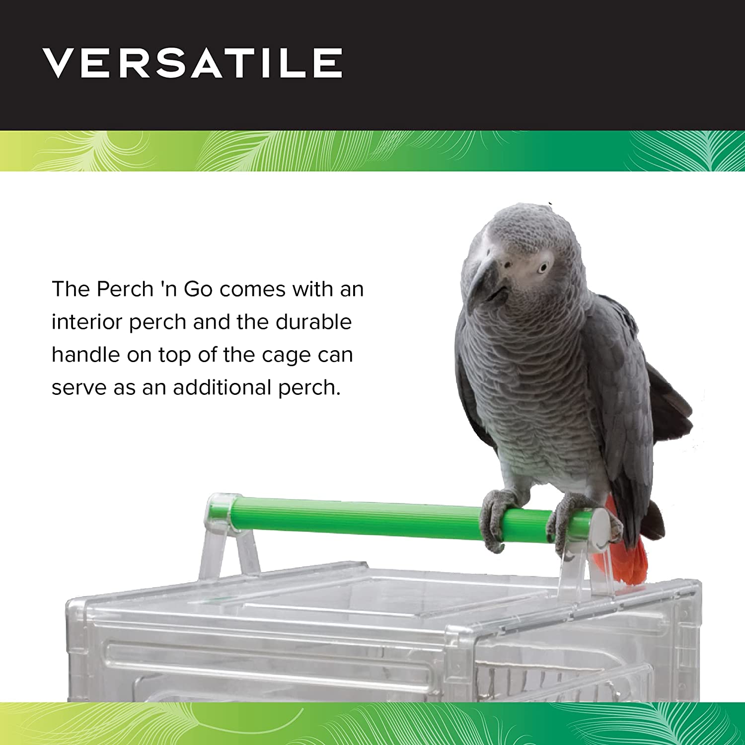 Small Perch N Go Bird Carrier