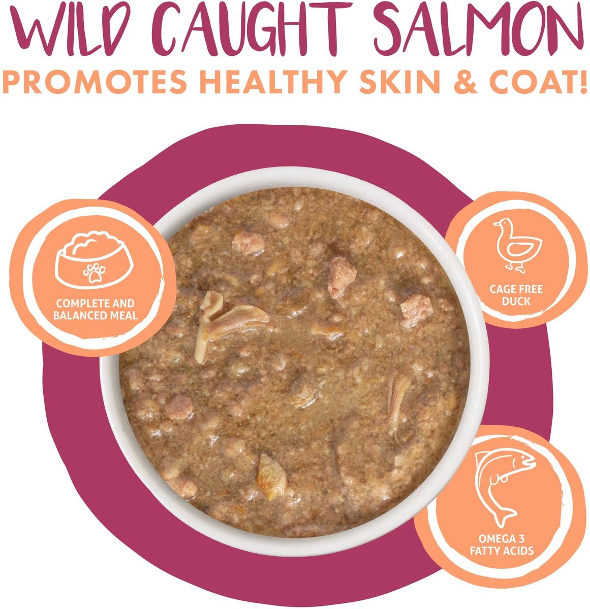 Weruva Classic Cat Stewlander Duck and Salmon in Gravy Stew Canned Cat Food