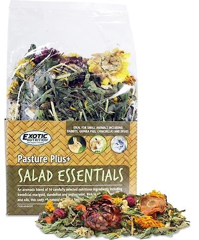 Exotic Nutrition Pasture Plus+ Salad Essentials Rabbit Treats， 6-oz box