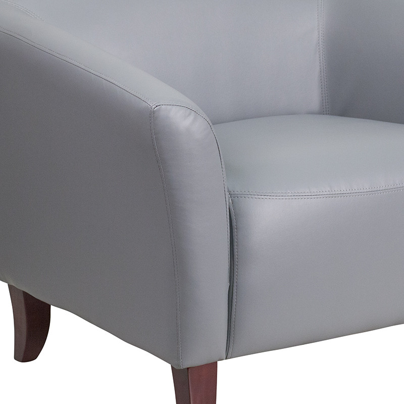 HERCULES Imperial Series Gray LeatherSoft Sofa   Transitional   Sofas   by First of a Kind USA Inc  Houzz