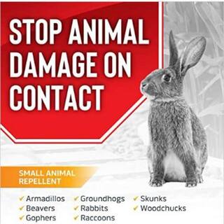 ANIMAL STOPPERS Animal Stopper Animal Repellent Gallon Ready-to-Use with Nested Sprayer AS-U-128