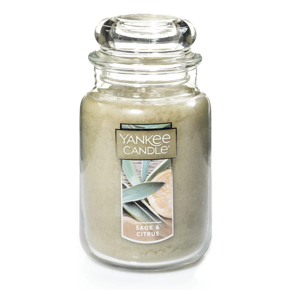 Yankee Candle  Large Classic Jar in Sage & Citrus