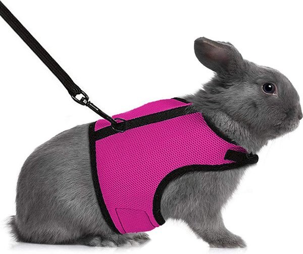 SunGrow Adjustable Escape Proof Rabbit and Ferret Vest Harness and Leash Set Outdoor Walking Accessories