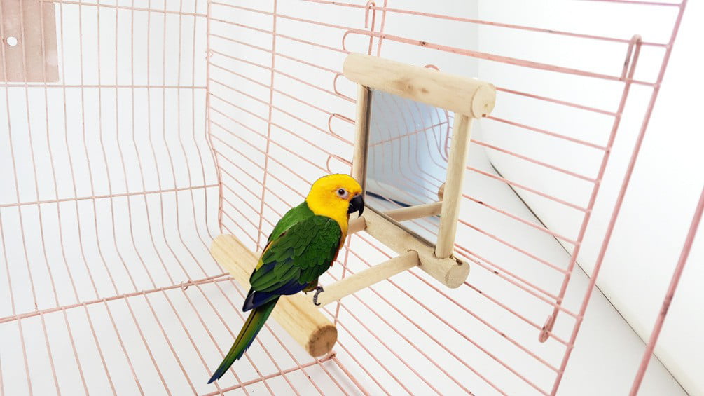 Wooden Pet Mirror Parrot Toys Climb Accessories for Cockatiel Parrots Small Bird