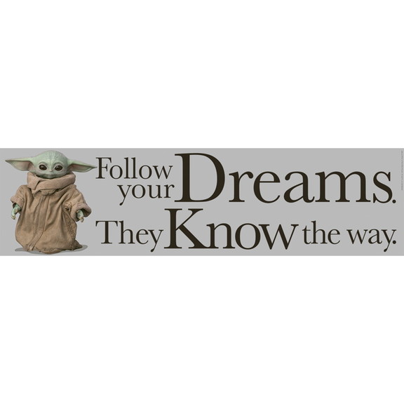 Eureka EU 849943 Mandalorian Follow Dreams Banner