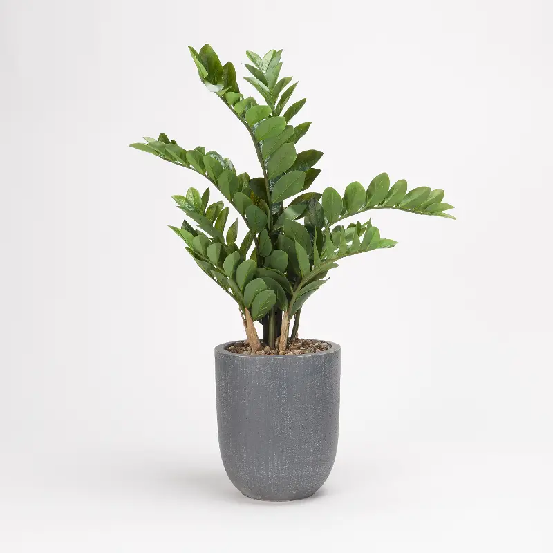 Green Faux Zamfolia Arrangement in Gray Planter