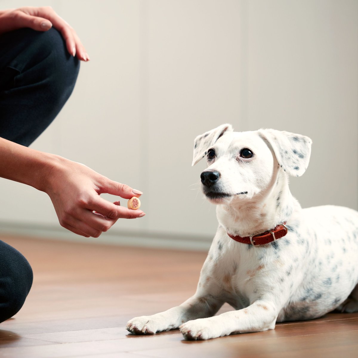 Milk-Bone Small MaroSnacks Dog Treats