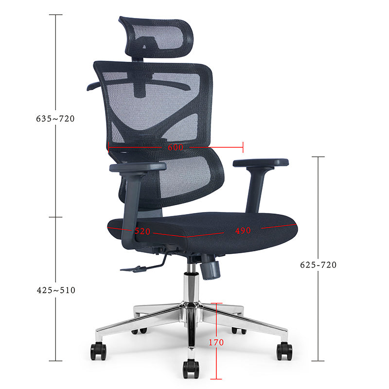 BIRGER Executive Office Chair with Headrest - Black