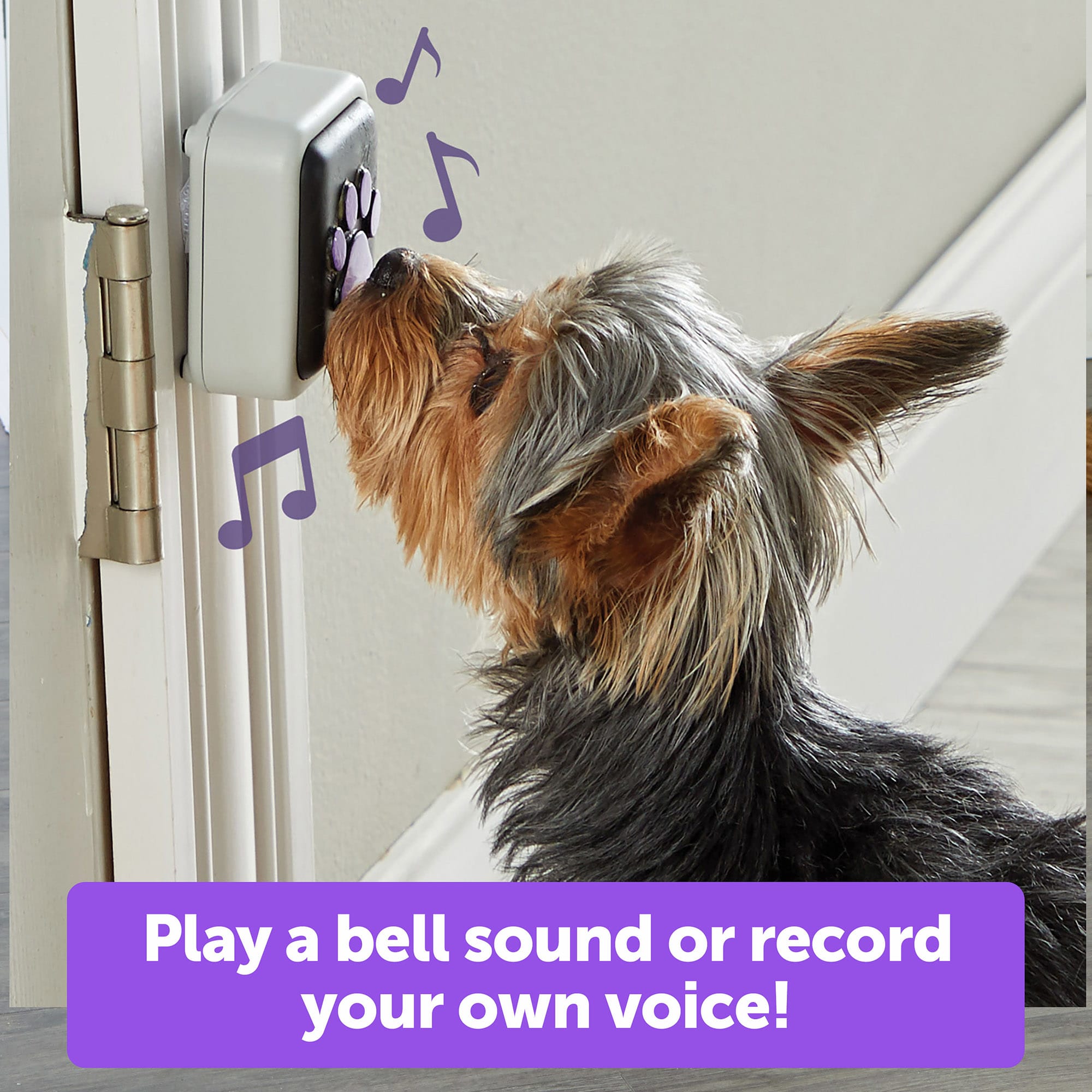 Hunger For Words Talking Pet Doorbell for Dogs