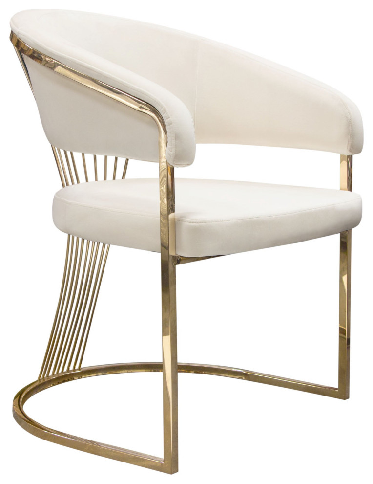 Solstice Dining Chair  Cream Velvet   Contemporary   Dining Chairs   by AMOC  Houzz