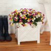 White Chippendale Planters, Set of 2