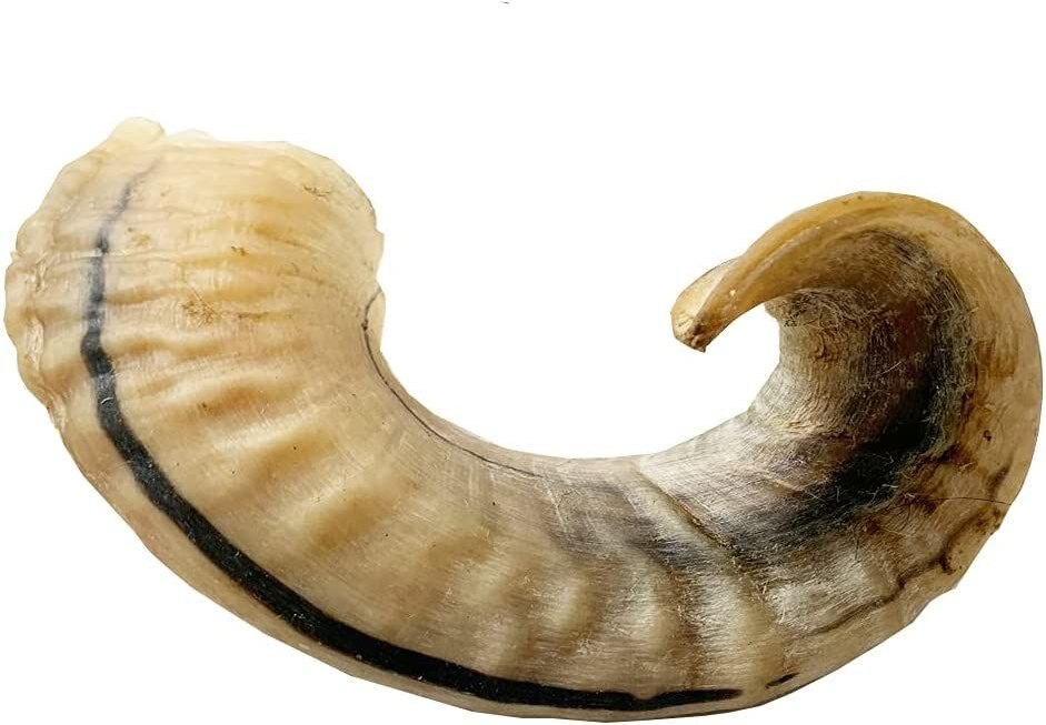 Amazing Dog Treats Lamb Horn Dog Bone， 1 count