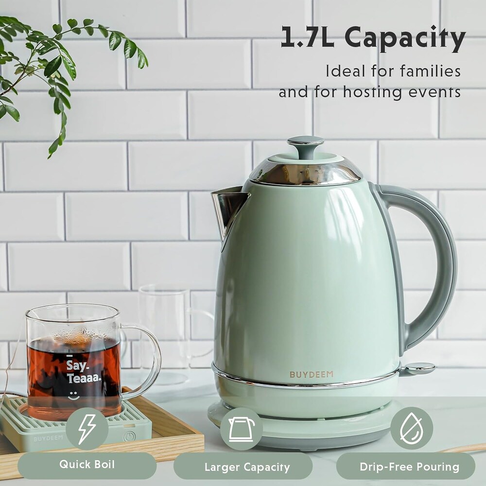 Stainless Steel Electric Tea Kettle