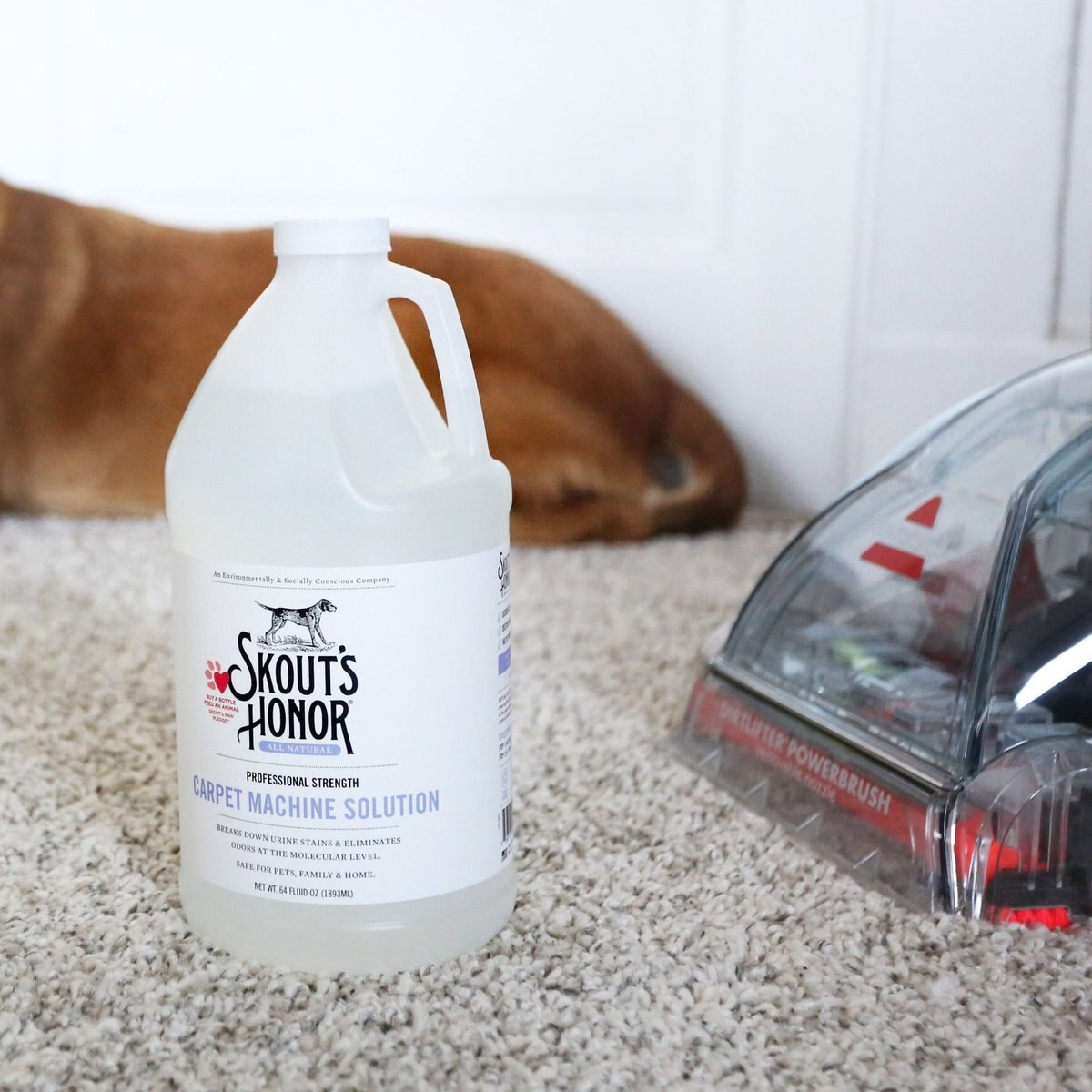 Skout's Honor Carpet Machine Solution， 64-oz bottle