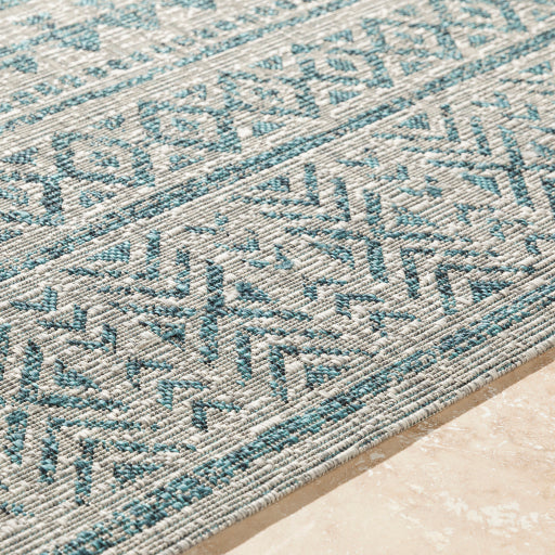 Eagean Traditional Indoor/Outdoor Aqua Rug