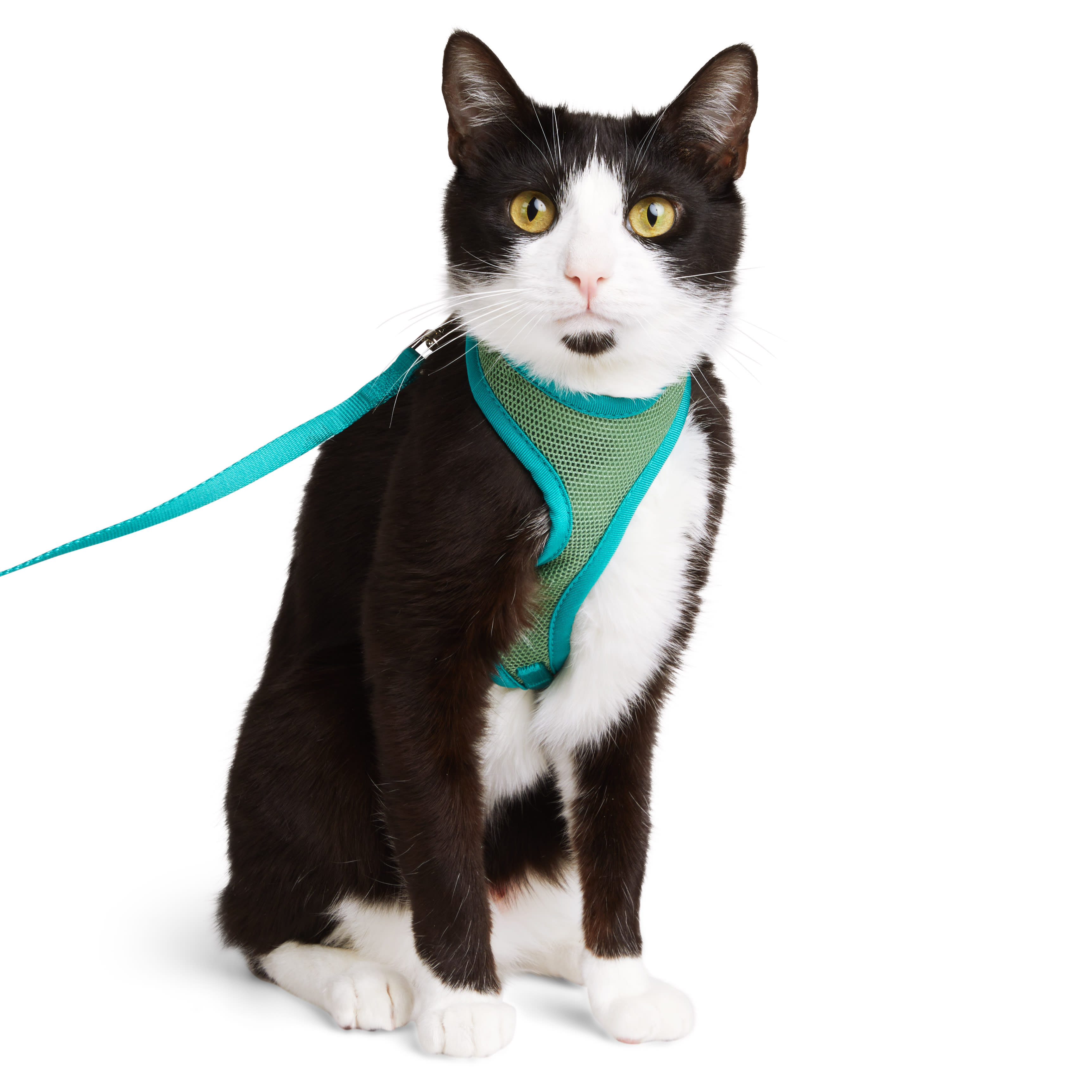 YOULY Green Cat Harness  Lead