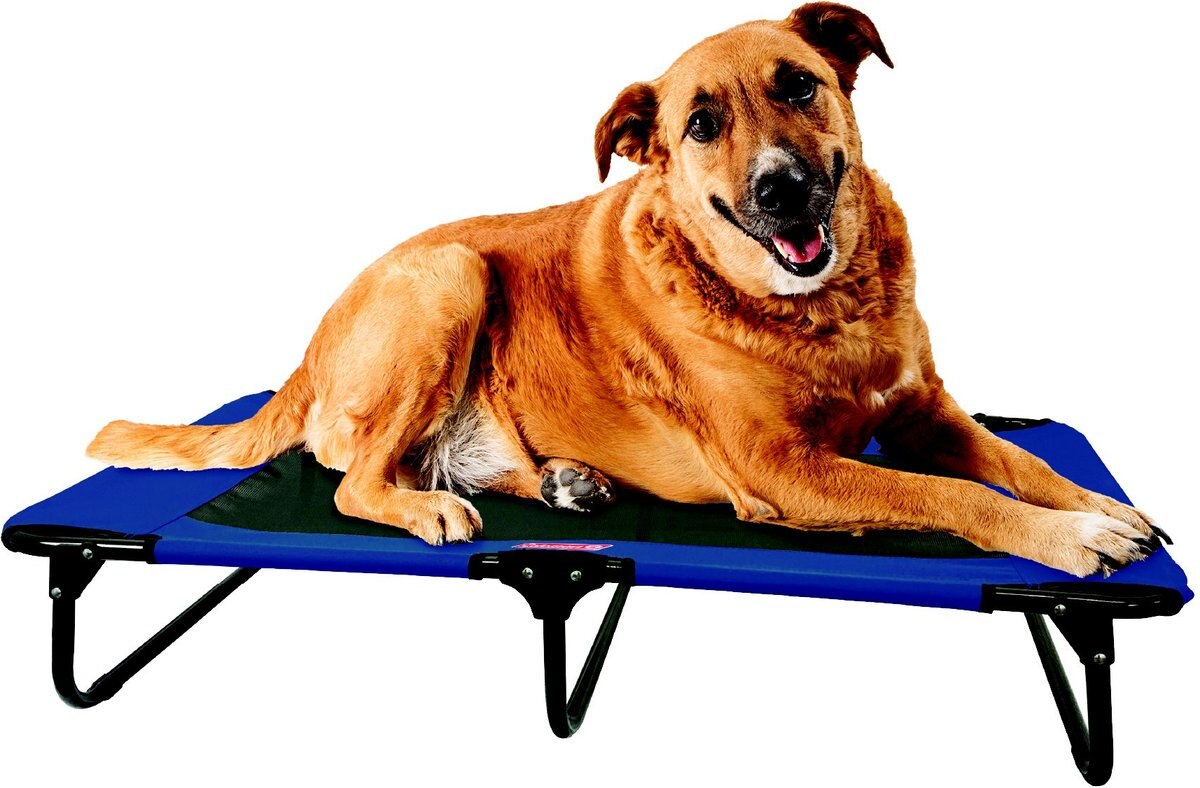 Coleman Folding Dog Cot