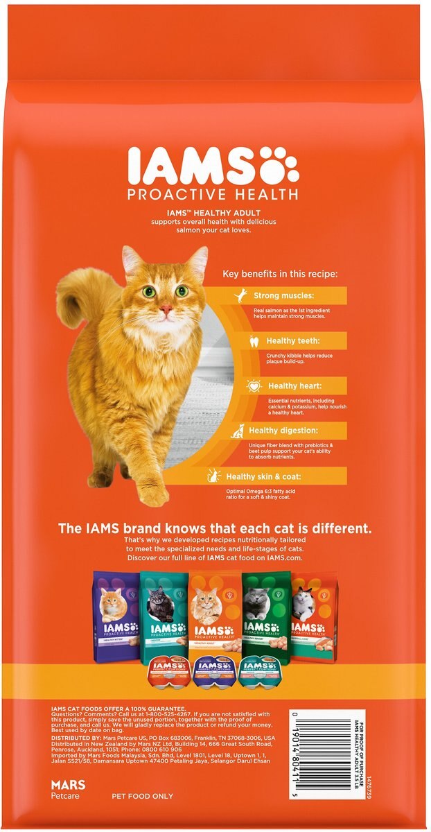 Iams ProActive Health Salmon Recipe Adult Dry Cat Food