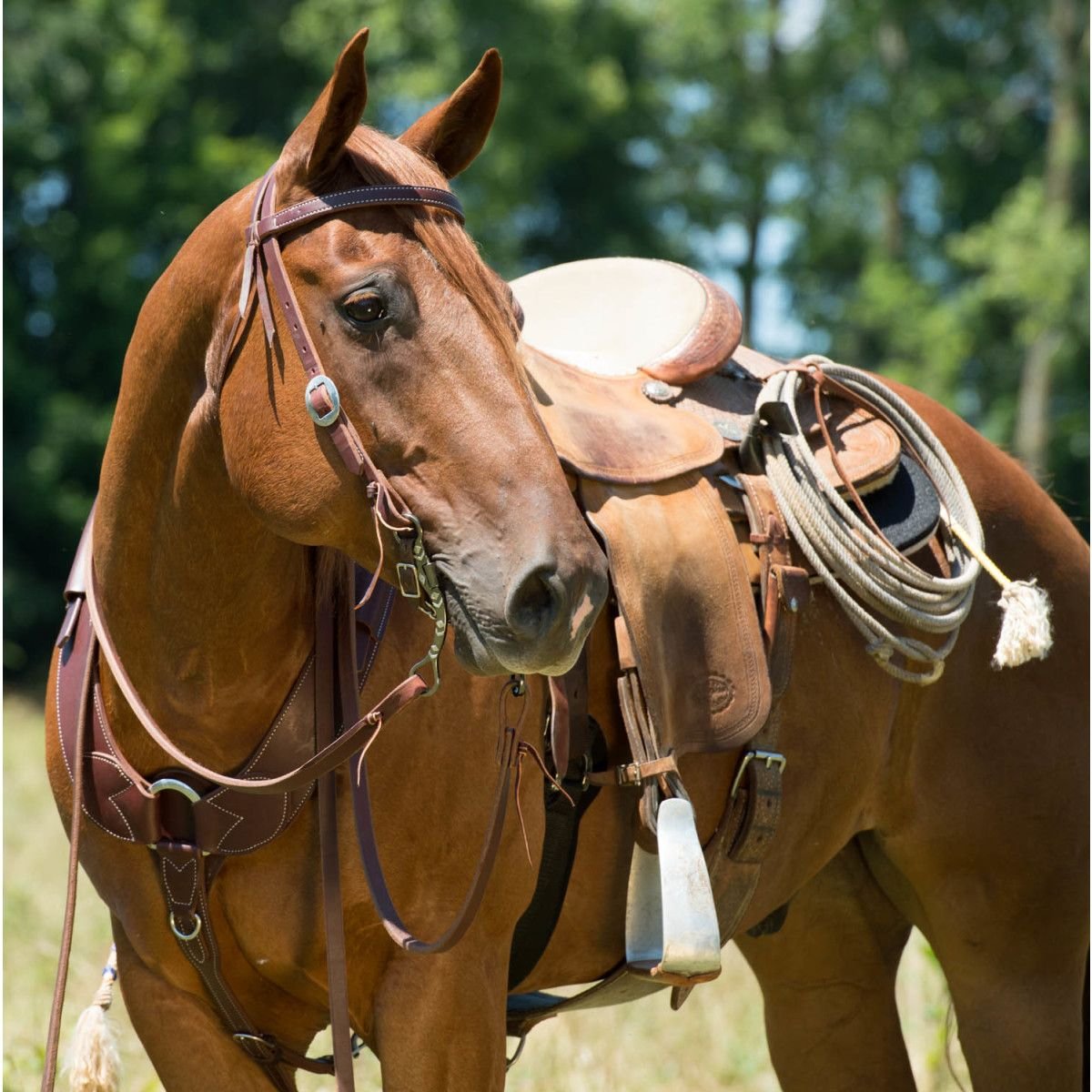 Weaver Leather Working Tack Pulling Horse Breast Collar